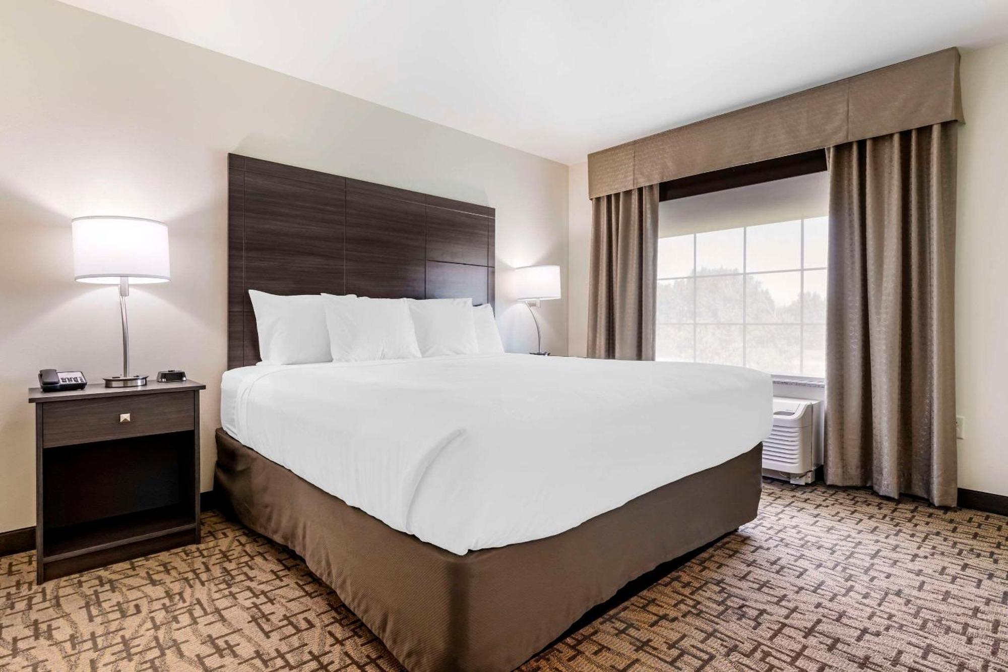 Comfort Inn & Suites Medina Extérieur photo