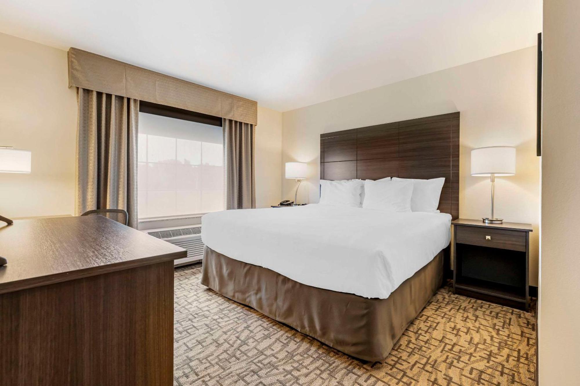 Comfort Inn & Suites Medina Extérieur photo