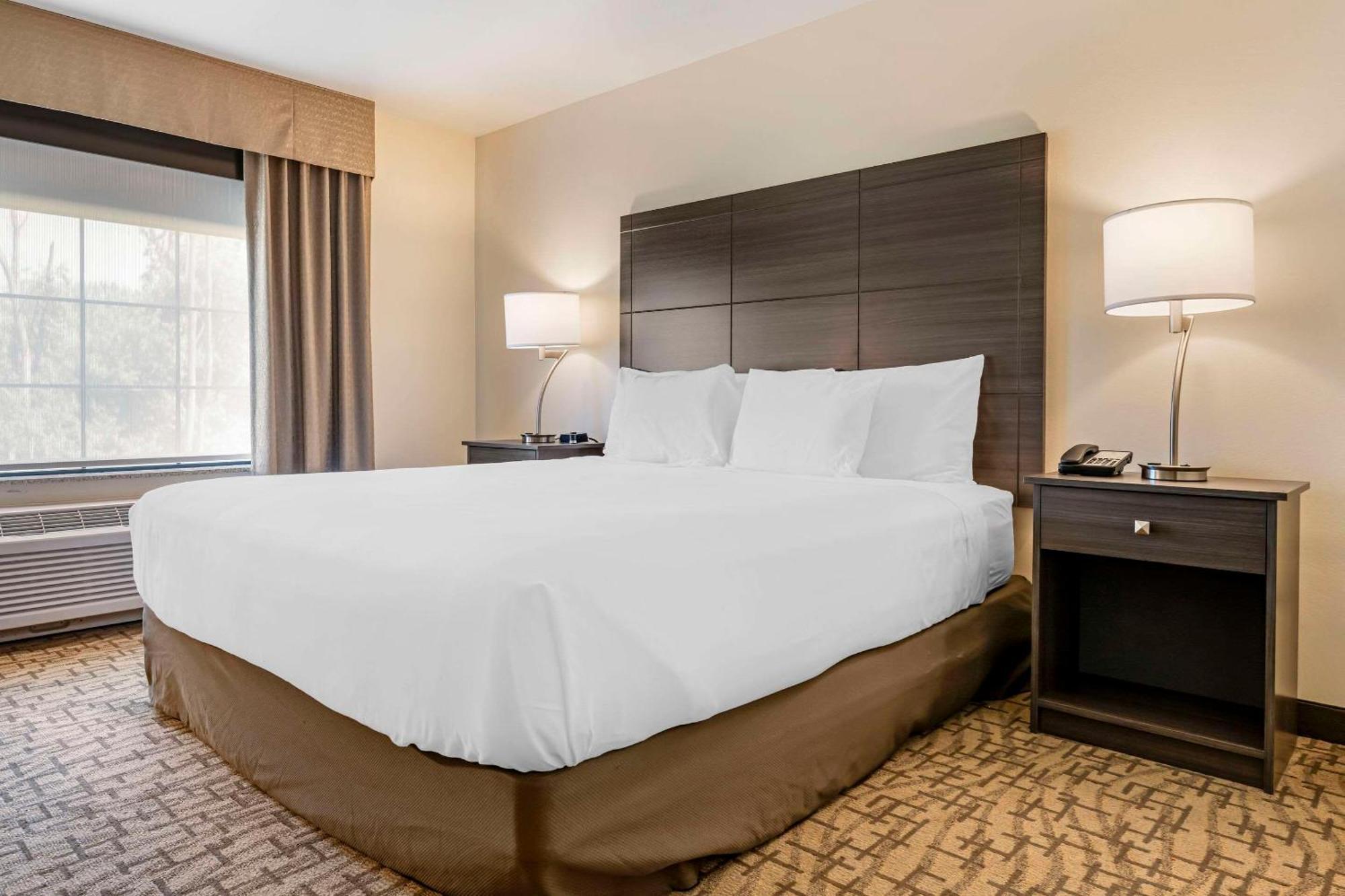 Comfort Inn & Suites Medina Extérieur photo